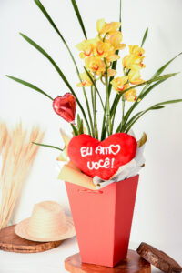 Orquídea Raio de Sol