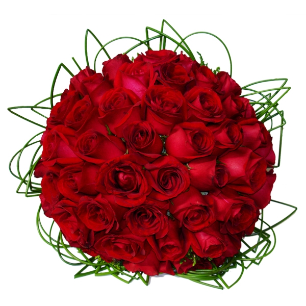 Buquê 50 Rosas Vermelhas Esplêndido