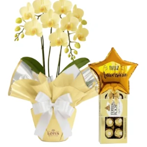 Orquídea Mimo e Balão Com Chocolate